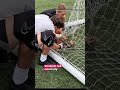Owl gets tangled in a soccer net