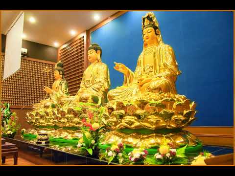 Video Tụng Kinh A Di Đà | Thích nữ Nguyên Chủng - youtube