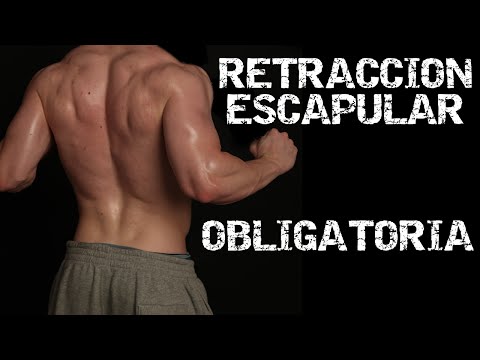 Video: ¿Qué significa apalancado en powerlifting?