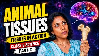 Master Animal Tissues In One Shot! (class 9)tissues In Action| Part-2