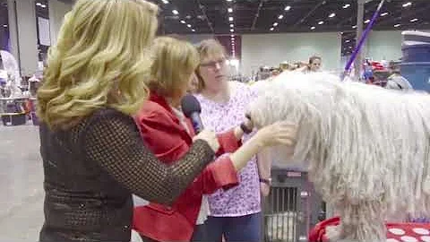 Judge Nancy Liebes goes over the Komondor