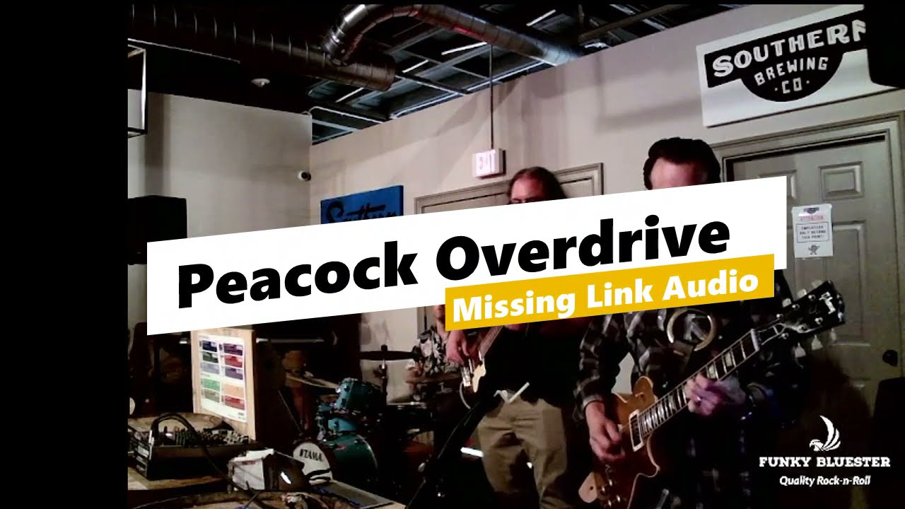 Missing Link Audio Peacock Overdrive-Funky Bluester