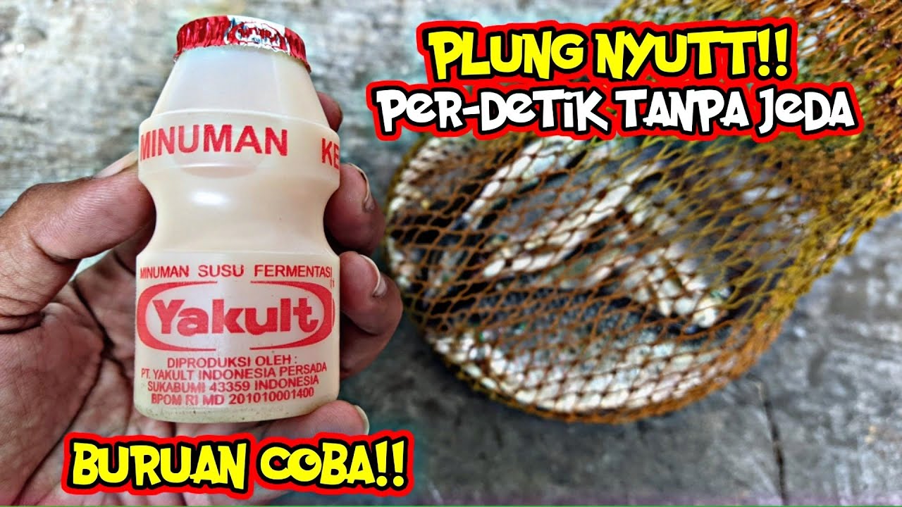 IT'S A GREAT LOSS IF YOU HAVEN'T TRIED THIS BAIT