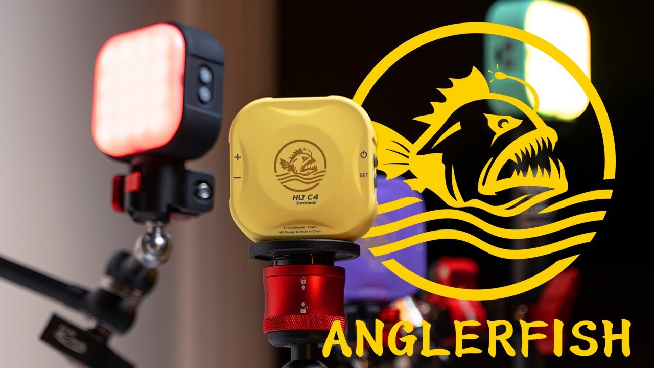 iFootage - Introducing Anglerfish HL1 C4 Handy Light Series