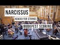 Adagio for strings  budapest scoring