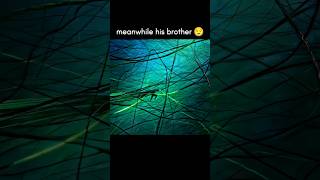 two brothers 💀