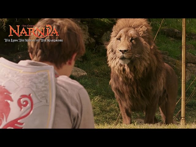 Aslan, The Lion, the Witch, and the Wardrobe, chronicles of narnia