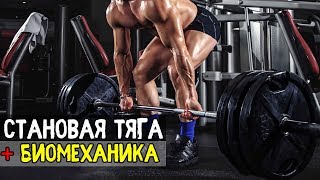 Становая Тяга. Техника. Ошибки. Нужно Ли Делать. Биомеханика