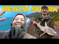 "SHARK IS YUM!" (Surfcast, Beach, Catch and Cook)