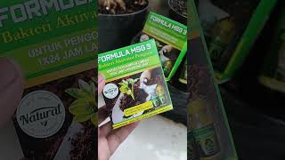 Bakteri aktivator yang mempercepat fermentasi kompos hanya dalam 1–2 hari !