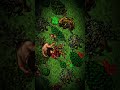 🔥 BRAVORA CHEGOU! WWW.EXORDION.COM A base clássica do Tibia 7.4 com conteúdo custom e mecânicas