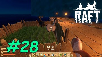 We Have Animals - Let