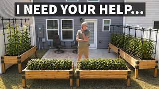 Im Planning My First Garden!