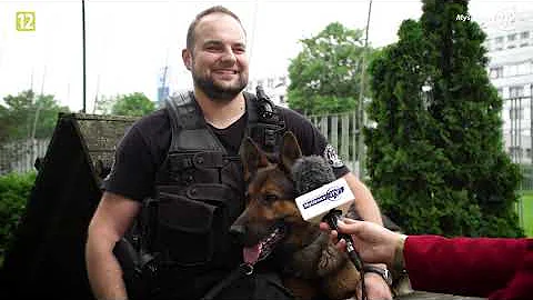 Jak se správně starat o psa?