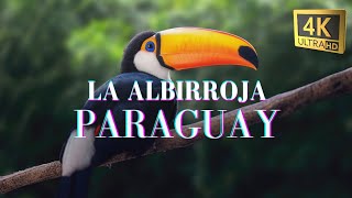 LA ALBIRROJA, PARAGUAY I 4K DRONE AERIAL TOUR 2024