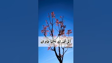 ألم يجدك يتيما فآوى ووجدك ضالا فهدى بصوت القارئ الشيخ محمد صديق المنشاوي