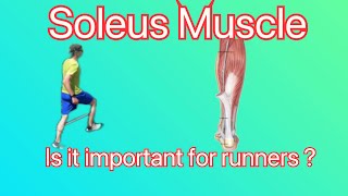 Is the Soleus Muscle Important for Runners Vlog #97