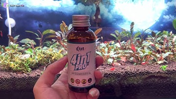 Hướng dẫn sử dụng thuốc 4 in 1 diệt sạch Ốc hại, Rêu hại, Sán và Thủy tức