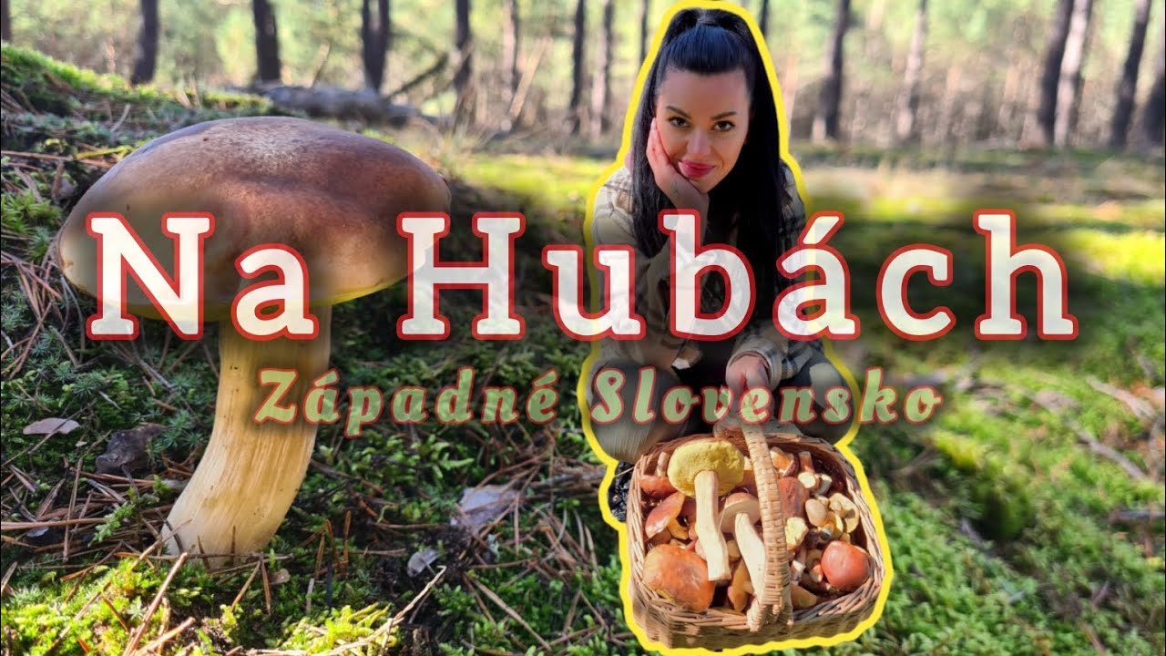 Na Hubách/Západné Slovensko Studienka/Zber Húb na Jeseň 2024/ Hubařní