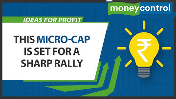 Buy This Micro-Cap Stock To Play The CV Upcycle | Ideas For Profit