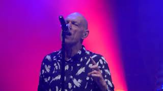 Midnight Oil - Safety Chain Blues (Manchester, June 9, 2019)