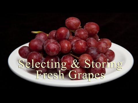How To Select & Store Fresh Grapes (Home Cooking 101) DiTuro Productions
