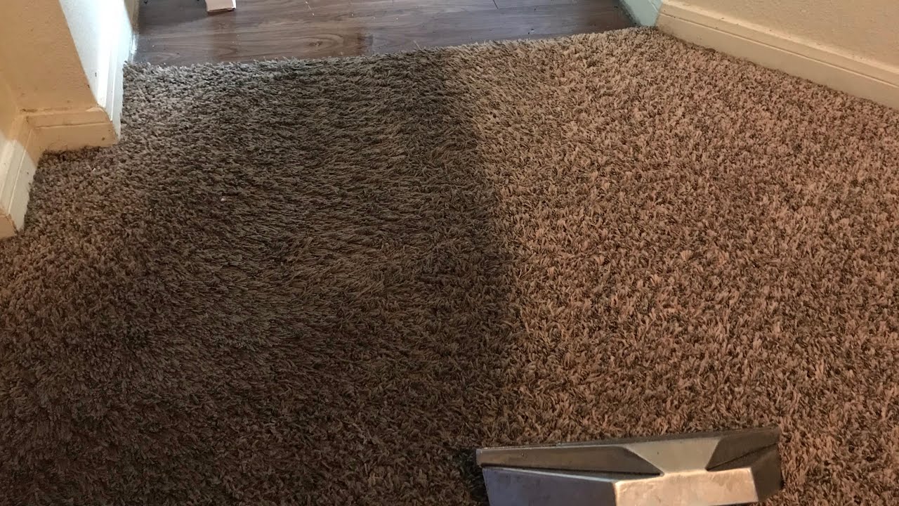 Floor Porn Nasty Carpet Cleaning YouTube