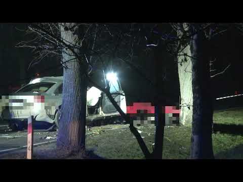 Audi uderzyło w drzewo. 21-letni kierowca poniósł śmierć na miejscu.