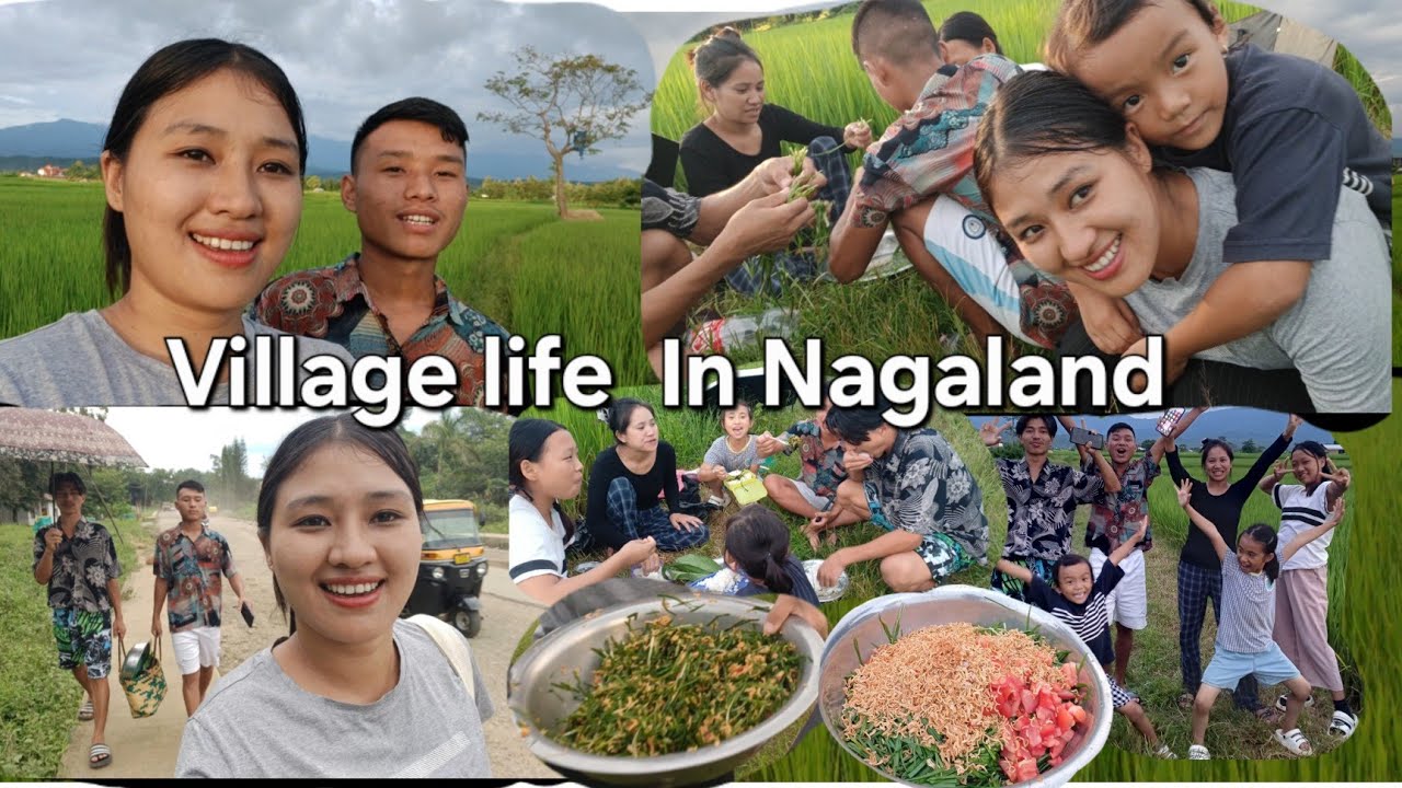 Деревенская жизнь в Нагаленде | Фермерская жизнь | #вирусноевидео @wiziliu