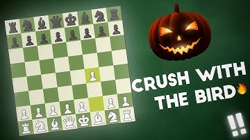 CRUSH EVERYONE WITH THE BIRD OPENING 🔥