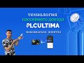 Технология пассивного дохода PlcUltima максимально понятно