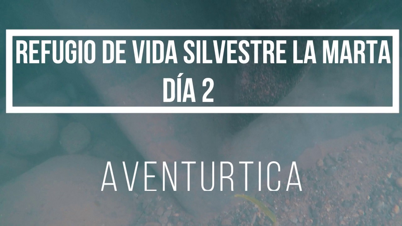 Mirador y mucho barro | Refugio de Vida Silvestre La Marta | Capitulo #2