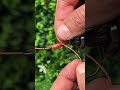 Fisherman’s Secret Knot That Never Lets Go The rock-solid knot every #USA #FishingHack #PapainhaTips