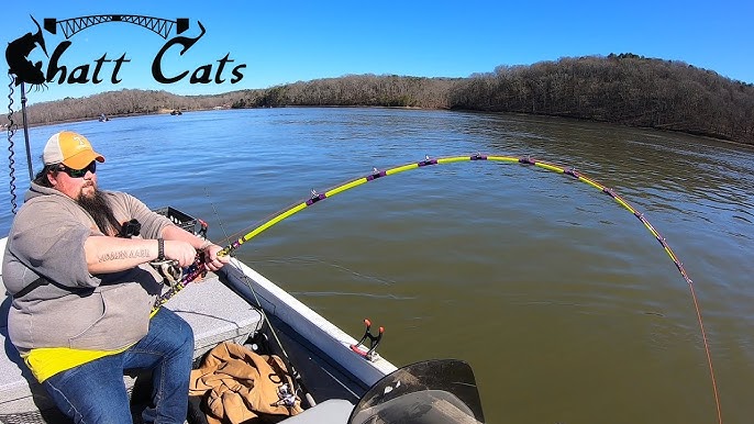 The MAD KATZ Rod Takes A Bend! (Ft. Reel Beasts) 