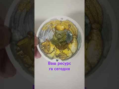 #магияжизни #таро #тарологпроводник