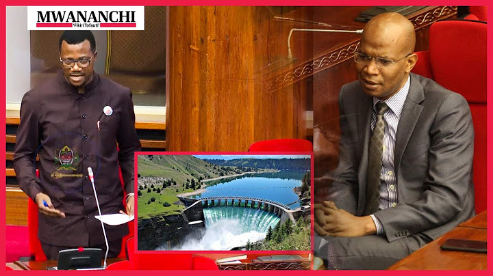 Mpina anusa bwawa la umeme la Mwalimu Nyerere; ataka kamati teule kuchunguza