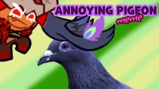 Annoying Pigeon Meme | CRK and CROB Edition!