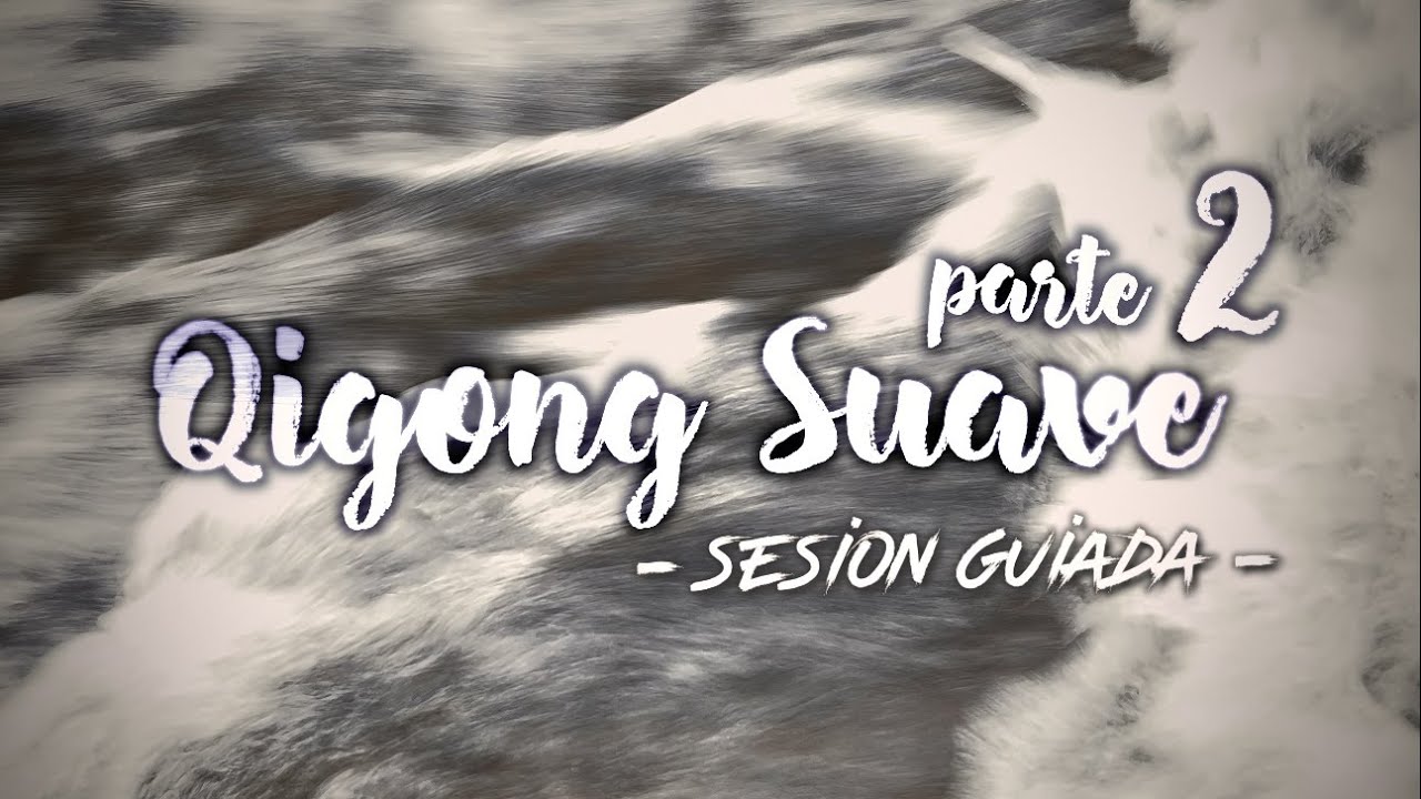 Taiji QIGONG SUAVE GUIADO Parte 2 - 28 movimientos de Lin Housheng - SHIBASHI extendido / 林厚省太极气功第二节