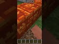 minecraft video like face