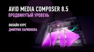 Avid Media Composer 8.5. Продвинутый уровень. Дмитрий Ларионов