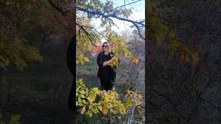 Крым. Керчь. Лес. Осень. Грибы. настроение.дубы колдуны)...