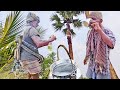 Village Style Toddy Palm Neera Collection by Grandfather | Juice of Toddy palm