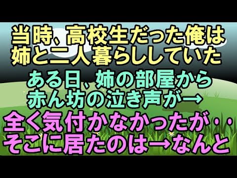 修羅場 ある日､俺｢姉の部屋から赤ちゃんの泣き声が･･なんだろ？｣→見に行くと呆然とする姉と･･まさか!?