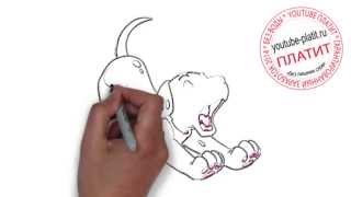 101 далматинец онлайн мультфильм  Как просто нарисовать далматинца из мультфильма 101 далматинец