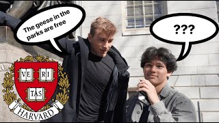 Asking Harvard Students How They Got Into Harvard + (GPA, SAT, Extracurriculars) - Niko Katsuyoshi