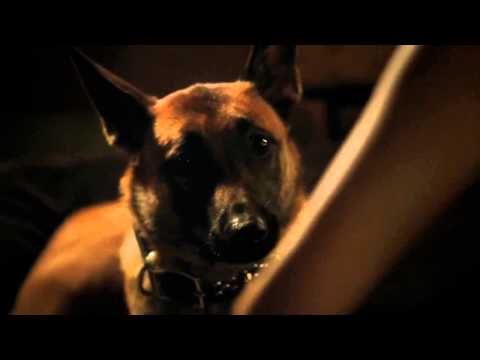 Person of Interest : Shaw's alone time with Bear