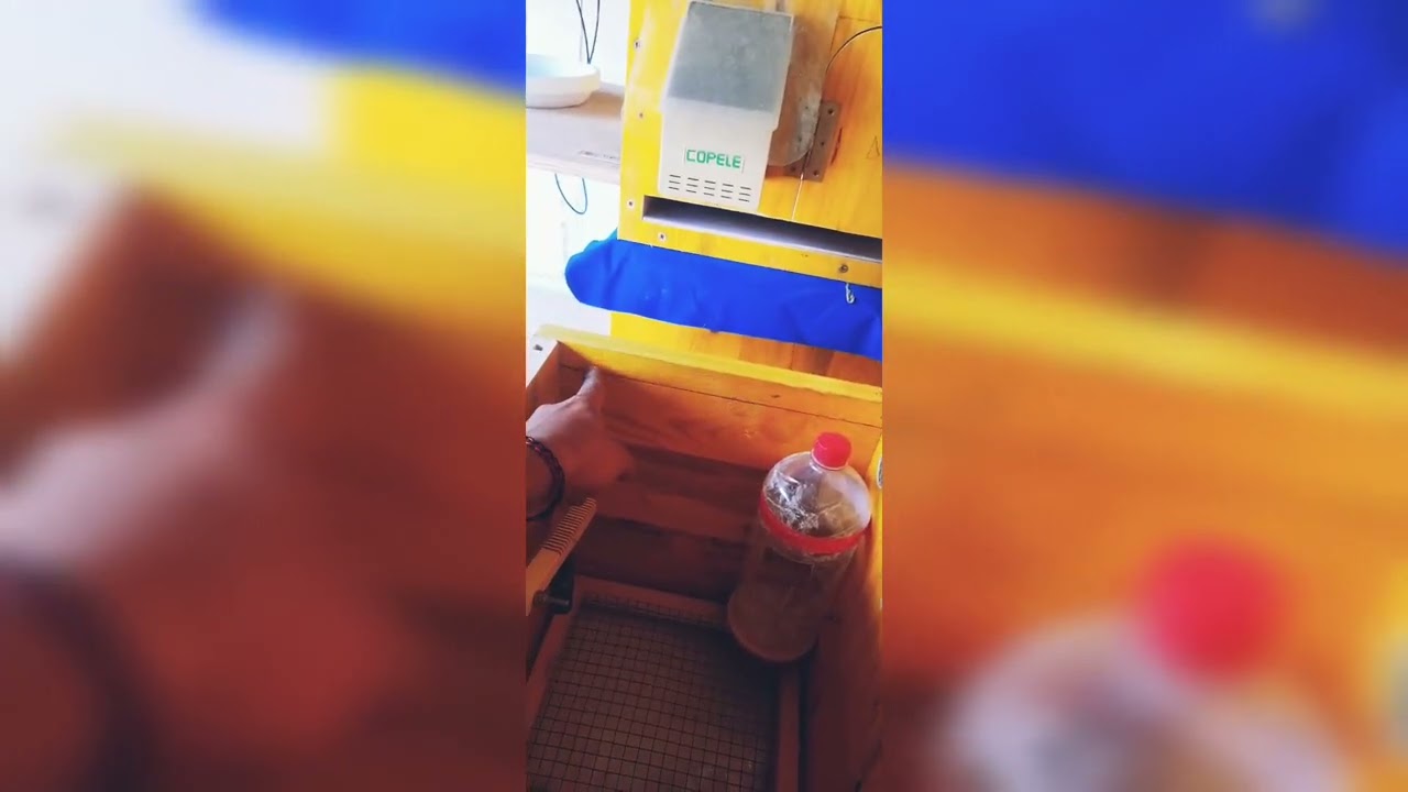 Mis Nuevas creaciones ( cajones automáticos) para palomos de trabajo . Suscríbete ❤