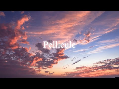 Pellicule / 不可思議wonderboy (Cover)