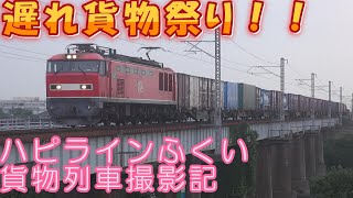 ハピラインふくい 貨物列車撮影記　2025年7月4～5日