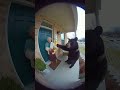 bear try to attack the grandma #shorts #aivideo